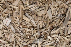 biomass boilers Botolph Claydon